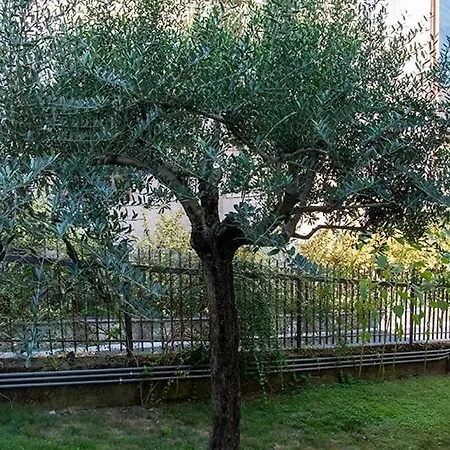 Panzió La Casa Di Alice